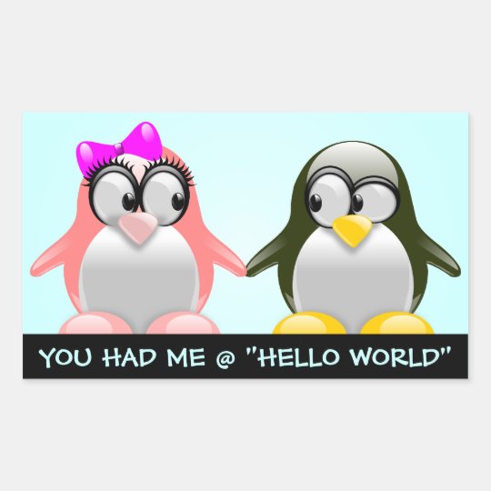 Computer Geek Valentine: Programming Language Love Rectangular Sticker