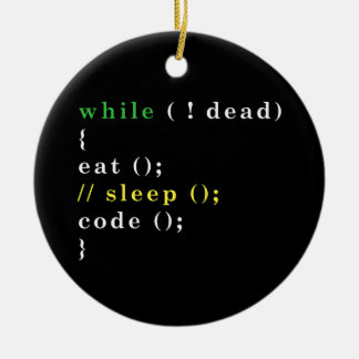 Computer Science Python Programmer Eat Code Sleep Ceramic Ornament