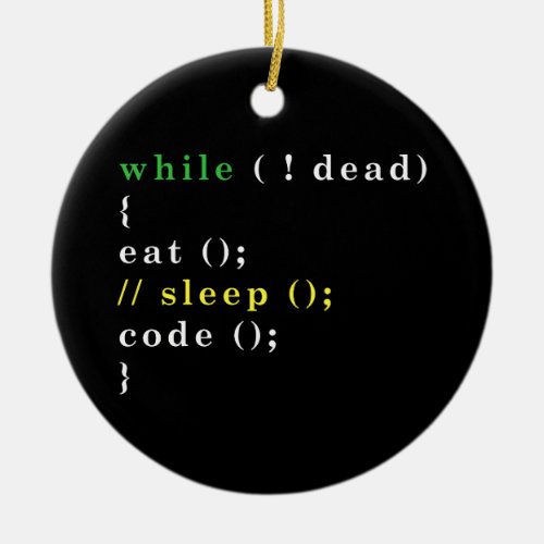 Computer Science Python Programmer Eat Code Sleep Ceramic Ornament