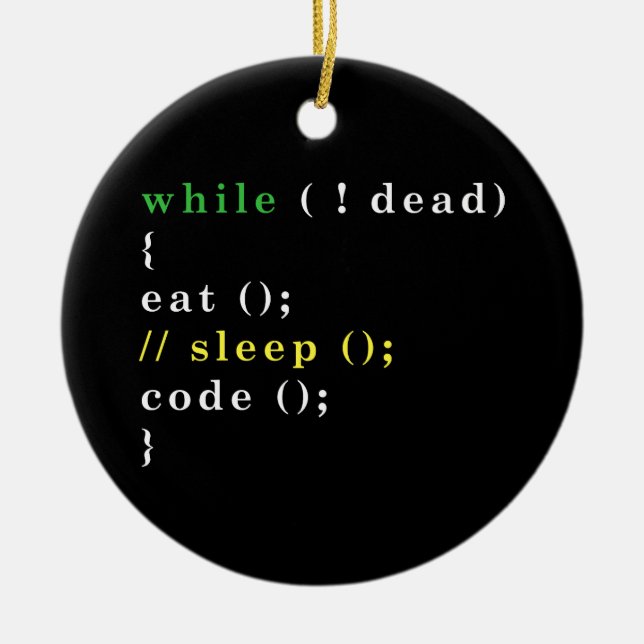 Computer Science Python Programmer Eat Code Sleep Ceramic Ornament (Front)
