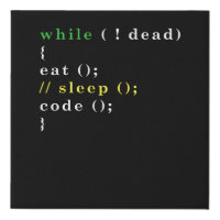 Computer Science Python Programmer Eat Code Sleep