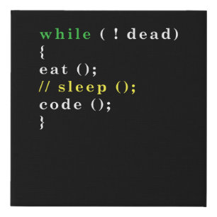 Computer Science Python Programmer Eat Code Sleep Faux Canvas Print