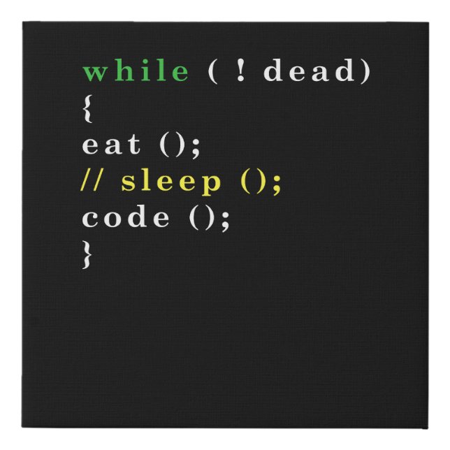 Computer Science Python Programmer Eat Code Sleep Faux Canvas Print (Front)