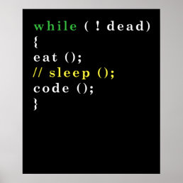 Computer Science Python Programmer Eat Code Sleep Poster