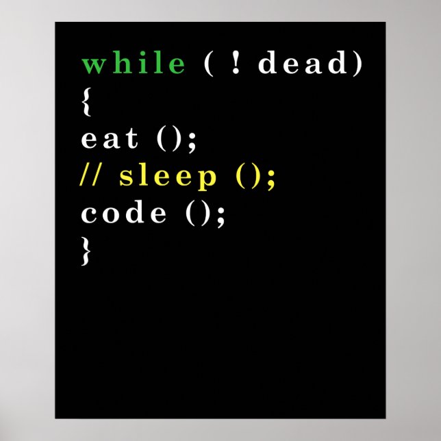 Computer Science Python Programmer Eat Code Sleep Poster (Front)