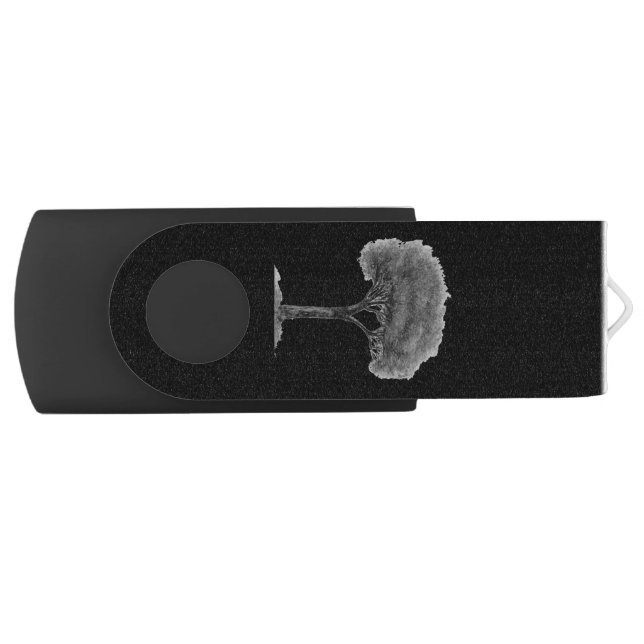 COMPUTER USB FLASH DRIVE ART AND DESIGN (Front)