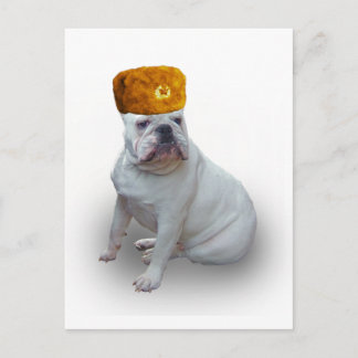 Comrad Bulldog Postcard