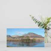 Conamara (Standing Front)