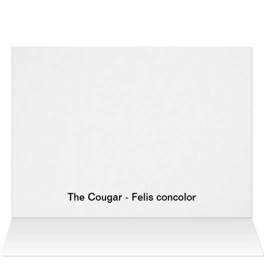 Concentration - Cougar (Inside Horizontal (Top))