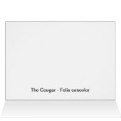Concentration - Cougar Cards (Inside Horizontal (Top))