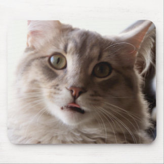 concentration face mouse pad