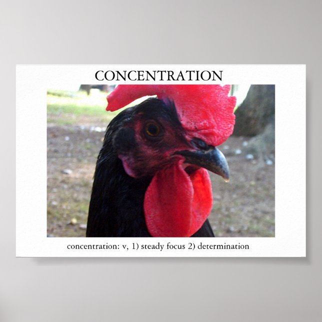 Concentration Poster (Front)