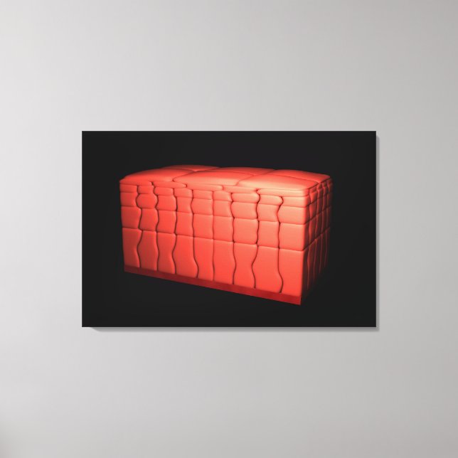 Concept Of Stratified Squamous Epithelium 1 Canvas Print (Front)