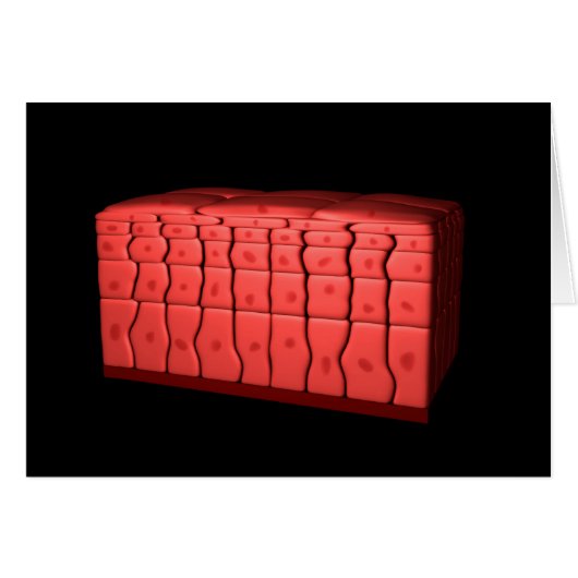 Concept Of Stratified Squamous Epithelium 2 Cards (Front Horizontal)