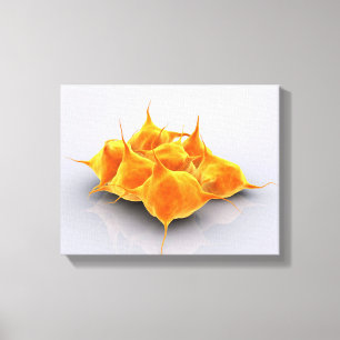 Conceptual Image Of A Group Of Platelets Canvas Print