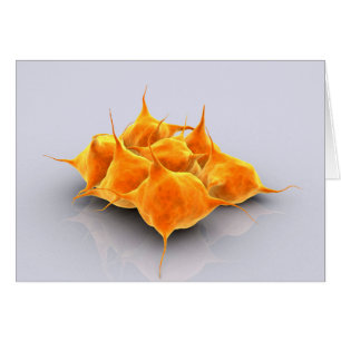Conceptual Image Of A Group Of Platelets Cards