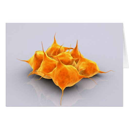 Conceptual Image Of A Group Of Platelets Cards (Front Horizontal)