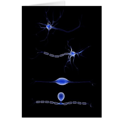 Conceptual Image Of A Neuron 1
