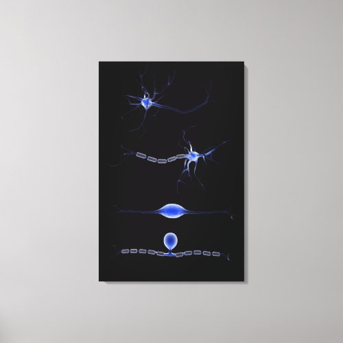 Conceptual Image Of A Neuron 1 Canvas Print