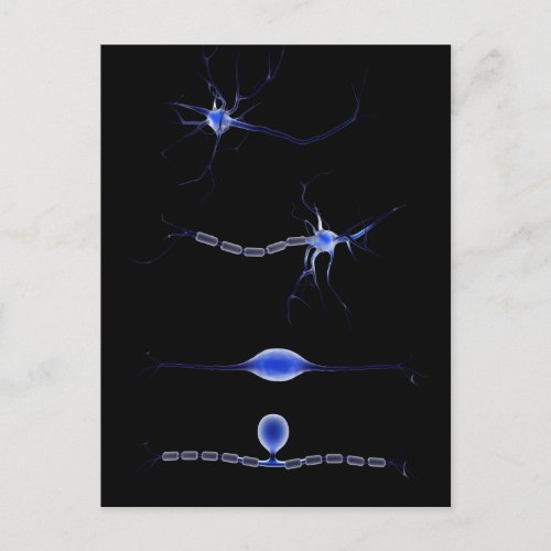 Conceptual Image Of A Neuron 1 Postcard