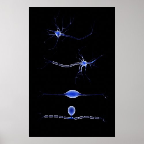 Conceptual Image Of A Neuron 1 Poster