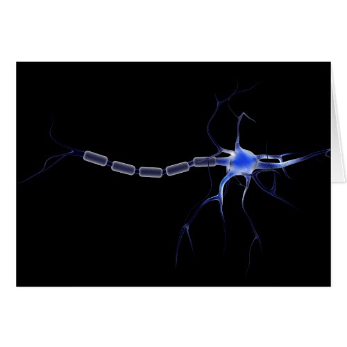 Conceptual Image Of A Neuron 2