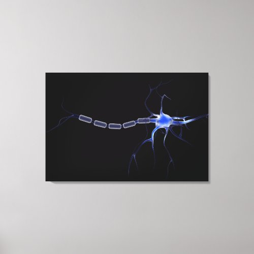 Conceptual Image Of A Neuron 2 Canvas Print