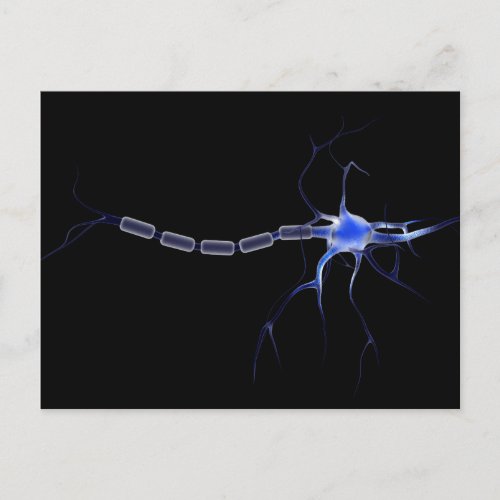 Conceptual Image Of A Neuron 2 Postcard