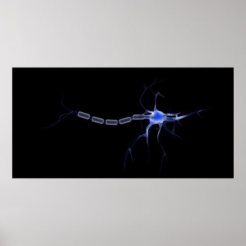 Conceptual Image Of A Neuron 2 Poster