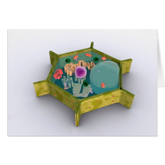 Conceptual Image Of A Plant Cell Cards (Front Horizontal)