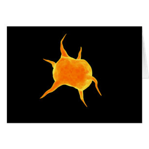 Conceptual Image Of A Platelet Cards