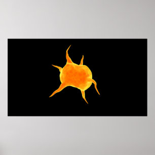 Conceptual Image Of A Platelet Poster