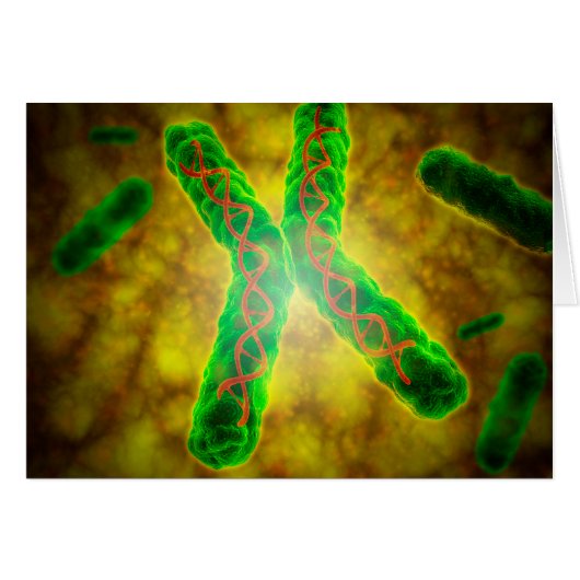 Conceptual Image Of A Telomere Cards (Front Horizontal)