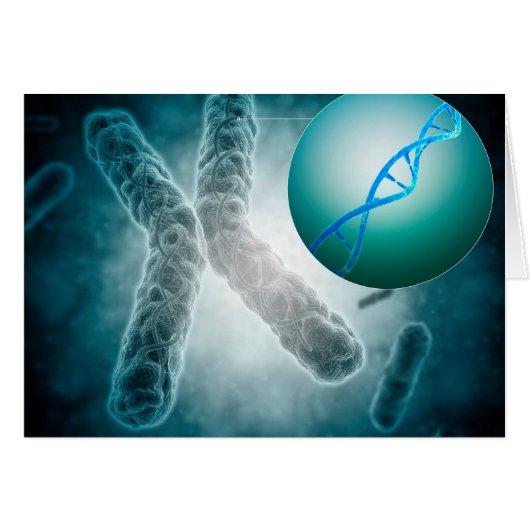 Conceptual Image Of A Telomere Showing DNA (Front Horizontal)