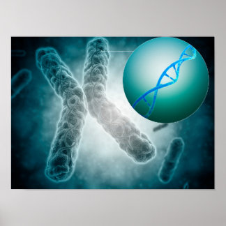 Conceptual Image Of A Telomere Showing DNA Poster