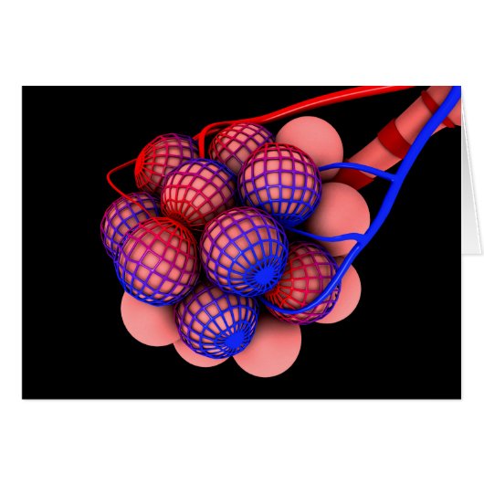 Conceptual Image Of Alveoli 1 Cards (Front Horizontal)