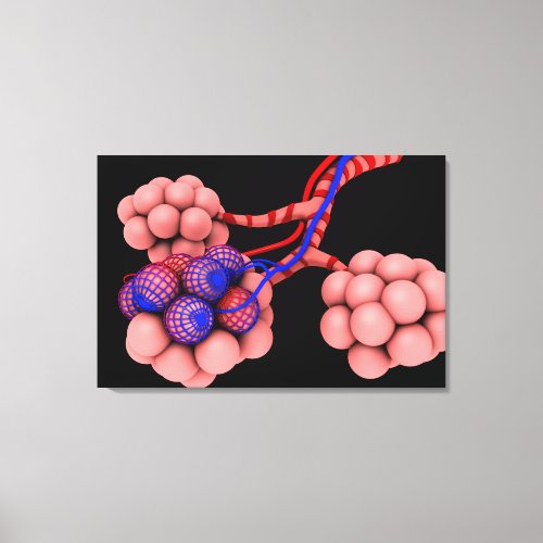 Conceptual Image Of Alveoli 2 Canvas Print