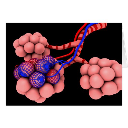 Conceptual Image Of Alveoli 2 Cards (Front Horizontal)