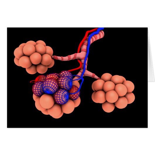 Conceptual Image Of Alveoli 3 Cards (Front Horizontal)