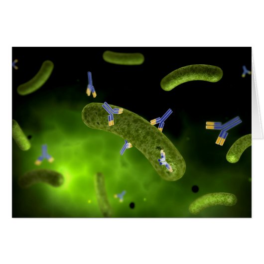 Conceptual Image Of Antibody Killing Bacteria Cards (Front Horizontal)