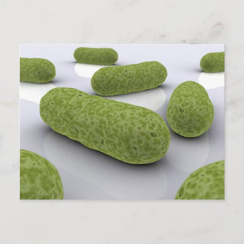 Conceptual Image Of Bacteria 1 Postcard