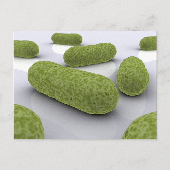 Conceptual Image Of Bacteria 1 Postcard (Front)