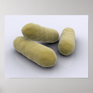 Conceptual Image Of Bacteria 2 Poster