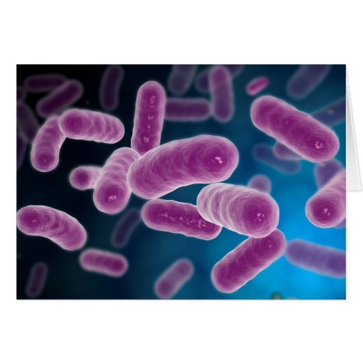 Conceptual Image Of Bacteria 3 Cards (Front Horizontal)