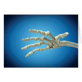 Conceptual Image Of Bones In Human Hand 1 (Front Horizontal)