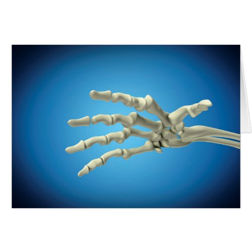 Conceptual Image Of Bones In Human Hand 1