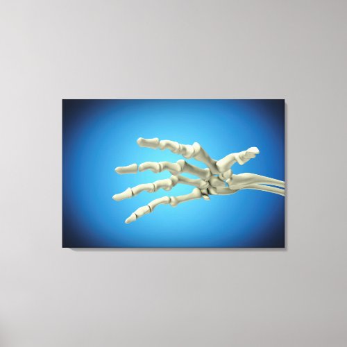 Conceptual Image Of Bones In Human Hand 1 Canvas Print