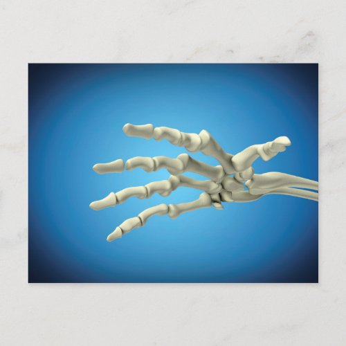 Conceptual Image Of Bones In Human Hand 1 Postcard