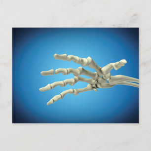 Conceptual Image Of Bones In Human Hand 1 Postcard