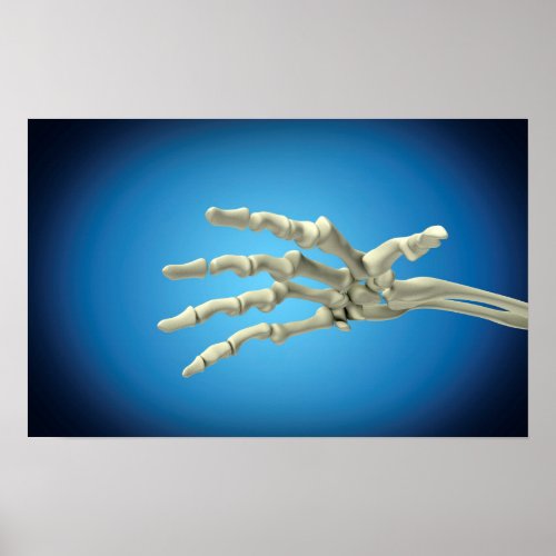 Conceptual Image Of Bones In Human Hand 1 Poster